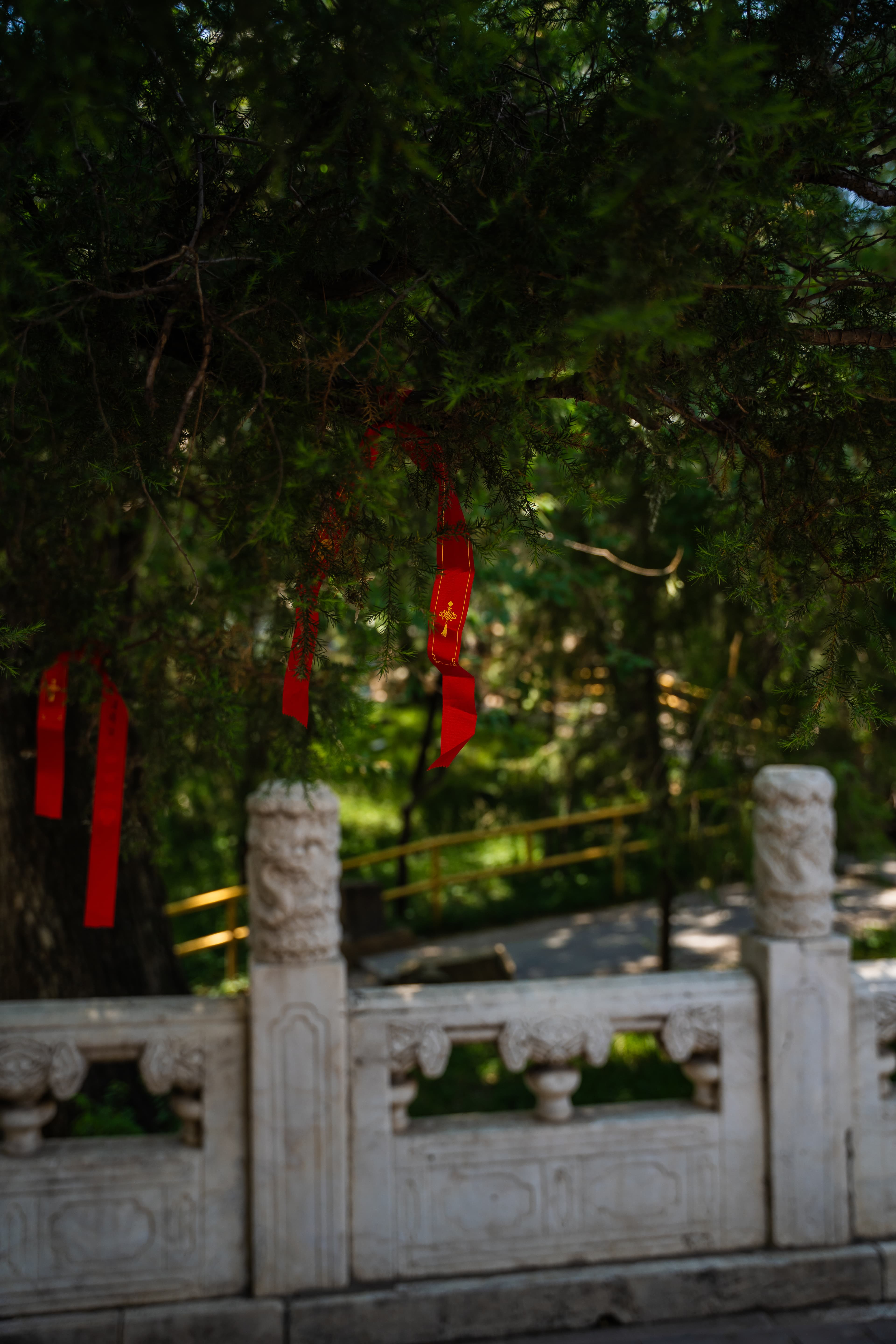 Red Ribbon